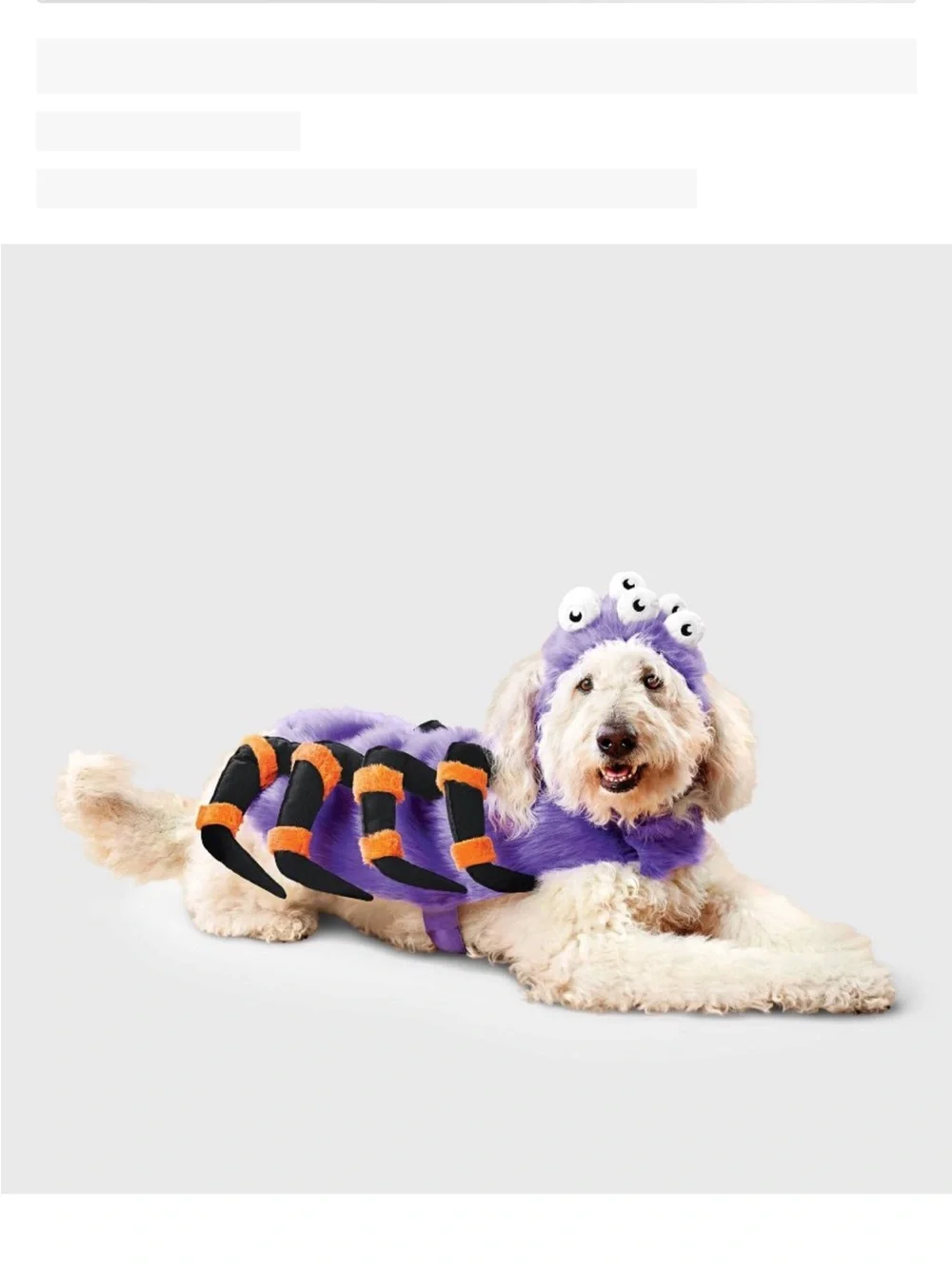 Boots & Barkley Spider Halloween dog Costume size small